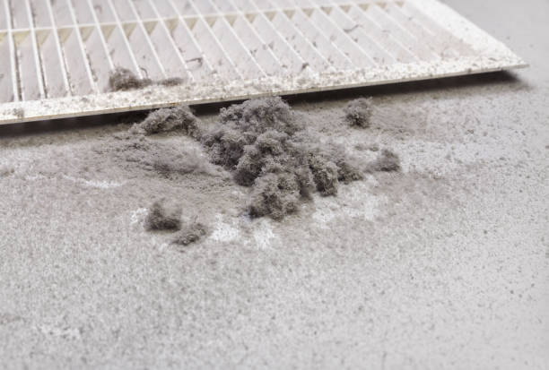 Best Local Air Duct Cleaning Services  in Chantilly, VA